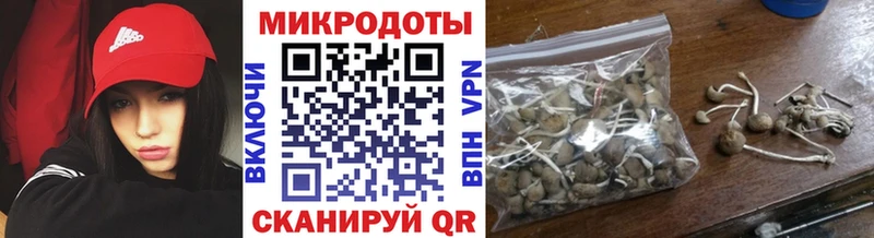 Галлюциногенные грибы Psilocybe  KRAKEN онион  Кудрово 
