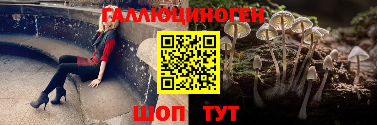 Псилоцибиновые грибы Cubensis Кудрово